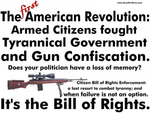 the making or re making of gun rights in america