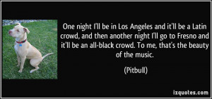 ... an all-black crowd. To me, that's the beauty of the music. - Pitbull