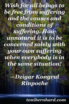Rinpoche is one of Pema Chodron's teachers....I love this quote, so ...