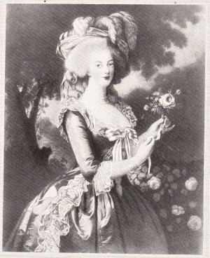 Queen Marie Antoinette of France. Marie Antoinette was born in Austria ...