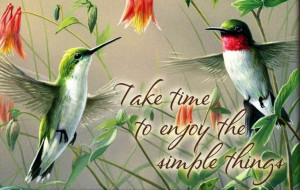 Hummingbirds quote