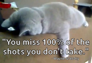 Planking Cat Meme with Wayne Gretzky Quote | Get More funny Quote ...