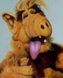 man should look for what is, and not for what he thinks should be ...