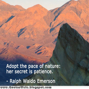 patience quotes patience quotes patience quotes patience quotes v ...