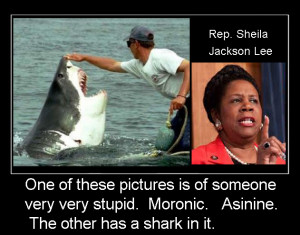 Rep. Sheila Jackson Lee wants all Americans to Cower in FEAR