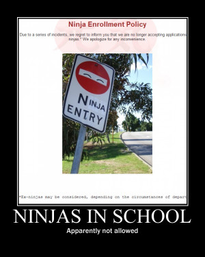 funny de motivational poster: Ninjas - They're even on posters.