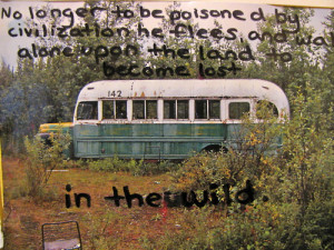 Into The Wild Mccandless Quotes
