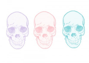 overlay, pastel, pastel goth, skulls, transparent, tumblr, vintage