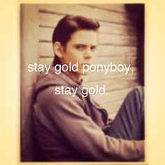 Back > Quotes For > outsiders ponyboy quotes book