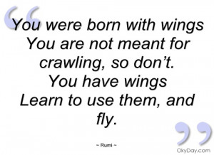 you were born with wings rumi
