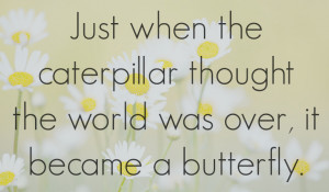 butterflyquote