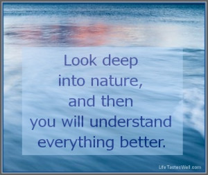 Look deep into nature, and then you will understand everything better ...