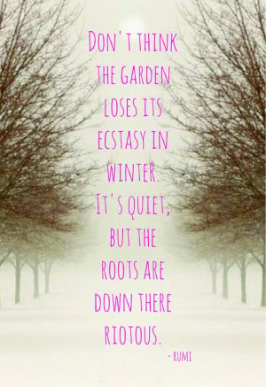 riotus roots in winter rumi winter snow quotes winter trees winter ...