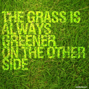 wordboner:Grass is always greenerfunny coincidence?