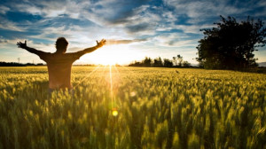 Person standing in an open field with the sun shining.