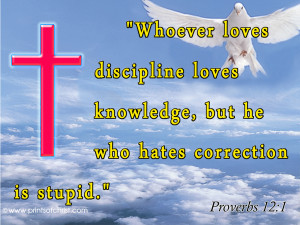 BV51 Love Bible Verse Wallpaper