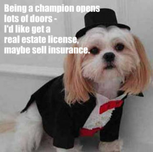 Another Funny Quotes From