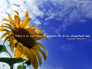 There is no such thing in anyone's life as an unimportant day ...