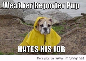 funny weather quotes cute