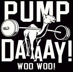 Pump day, hump day workout More