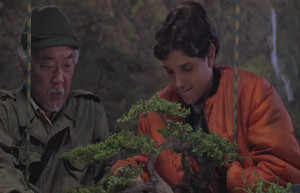 Karate Kid Mr Miyagi Quotes