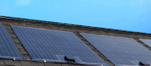 solar panel car project