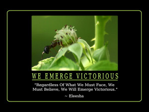 Regardless Of What We Must Face, We Must Believe, We Will Emerge ...