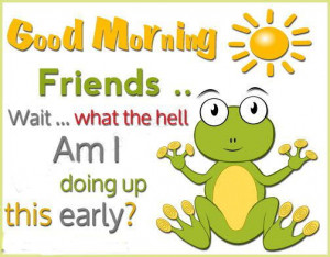 good morning funny quotes cute quote funny quote funny quotes frog
