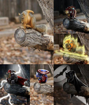 Super Squirrel!!