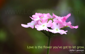 Flower Heart Quotes Gallery