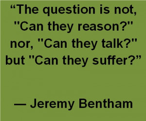 Quote from Jeremy Bentham to Kant, animals do matter