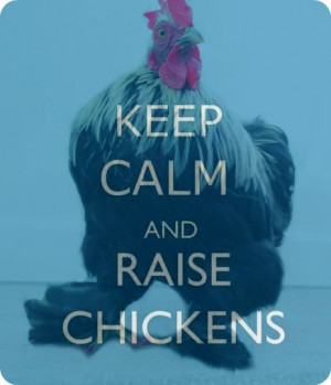 keep calm raise chickens by Nor Cal Chickens