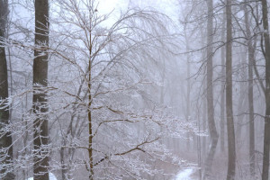 Ice Storm Southern Ontario...