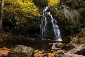 Funny Quotes Contact Dmca