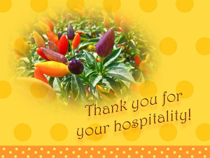 Thank You For Your Hospitality Greeting Card - Decorative Pepper Plant ...