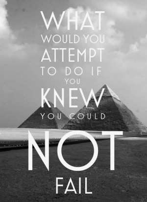 What would you do if you could not fail