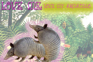 The Ever loving Armadillo By