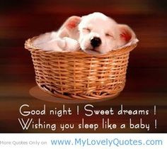 goodnight quotes and sayings | Good night – Arrogant mobile quote