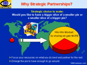 Why Partner with Others?