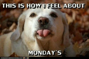 Mondays...blah