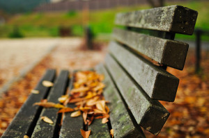 Image of park benches from the Internet