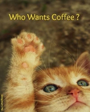 Who Wants Coffee Pictures, Photos, and Images for Facebook, Tumblr ...