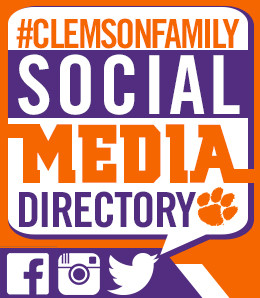 RECAP - Tigers in the Summer Leagues