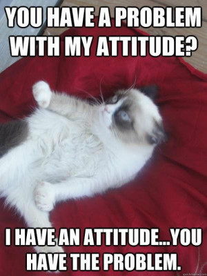 Attitude problem grumpy cat http://www.slapcaption.com/attit... on ...