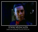 Evolved Cats by THE-DALEK-SUPREME