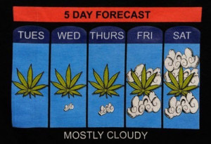 forecast #weed #lol #funny #weather #news #awesome #pothead #stoner
