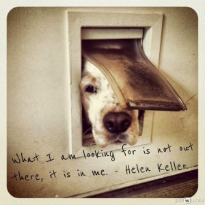 Look within yourself. Helen Keller quote. Sweet dog. The Baby Giraffe ...