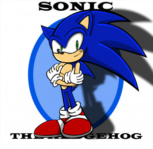 Crazy Sonic The Hedgehog