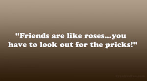 Friends are like roses…you have to look out for the pricks!”