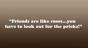 Friends are like roses…you have to look out for the pricks!”